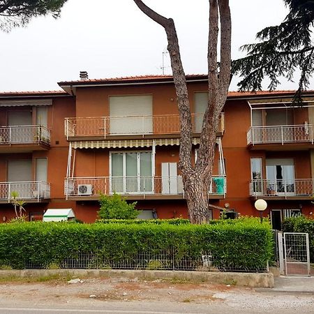 Apt. 7 - Villa Dei Pini Амеля Екстериор снимка